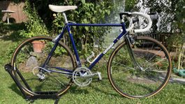 TOP: Rennvelo Gerber Columbus SL Campagnolo Gr. 54cm ab 1.-