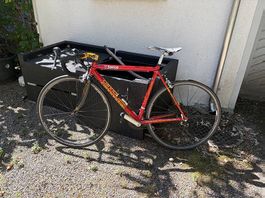 Cannondale Rennrad