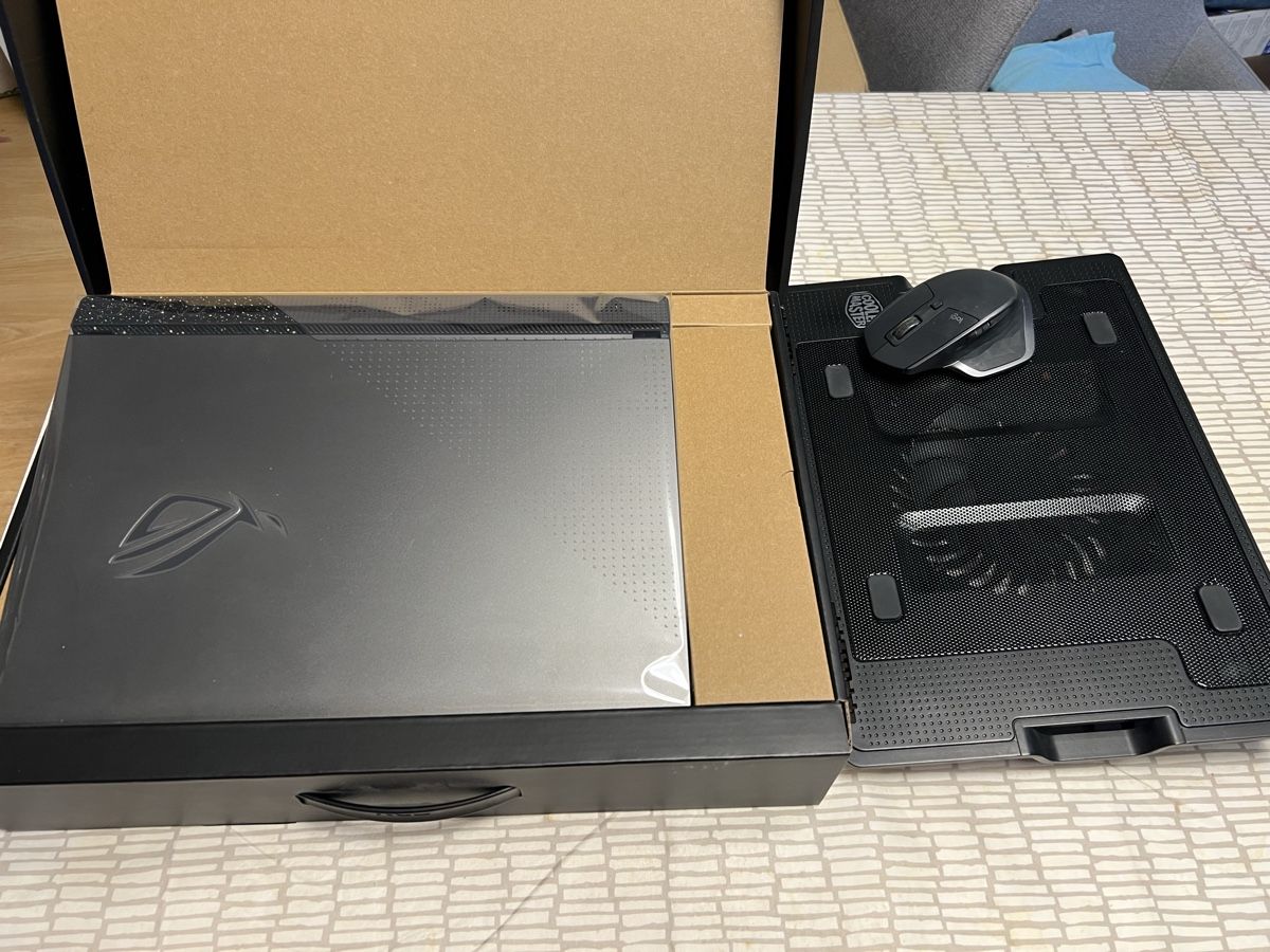 Asus PC: Asus Rog Portable G513R – Usato da L'Orient venduto da Pau_2jnt 3