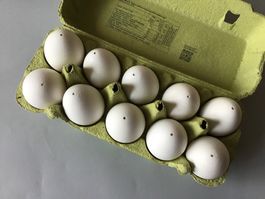 Bastelmaterial Ostern: ausgeblasene, weisse, Bio-Hühner-Eier