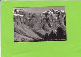 Grosser Ruchen mit Trogenalp