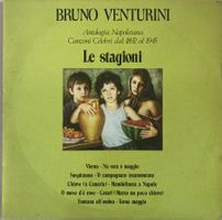 BRUNO VENTURINI - LE STAGIONI