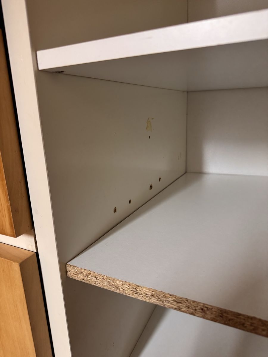Armadi: Ikea Schrank zu verschenken  – Usato da Basel venduto da kon_2l5h 3