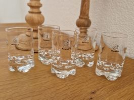 5 Bormioli Vintage Kristall- Schnapsgläser