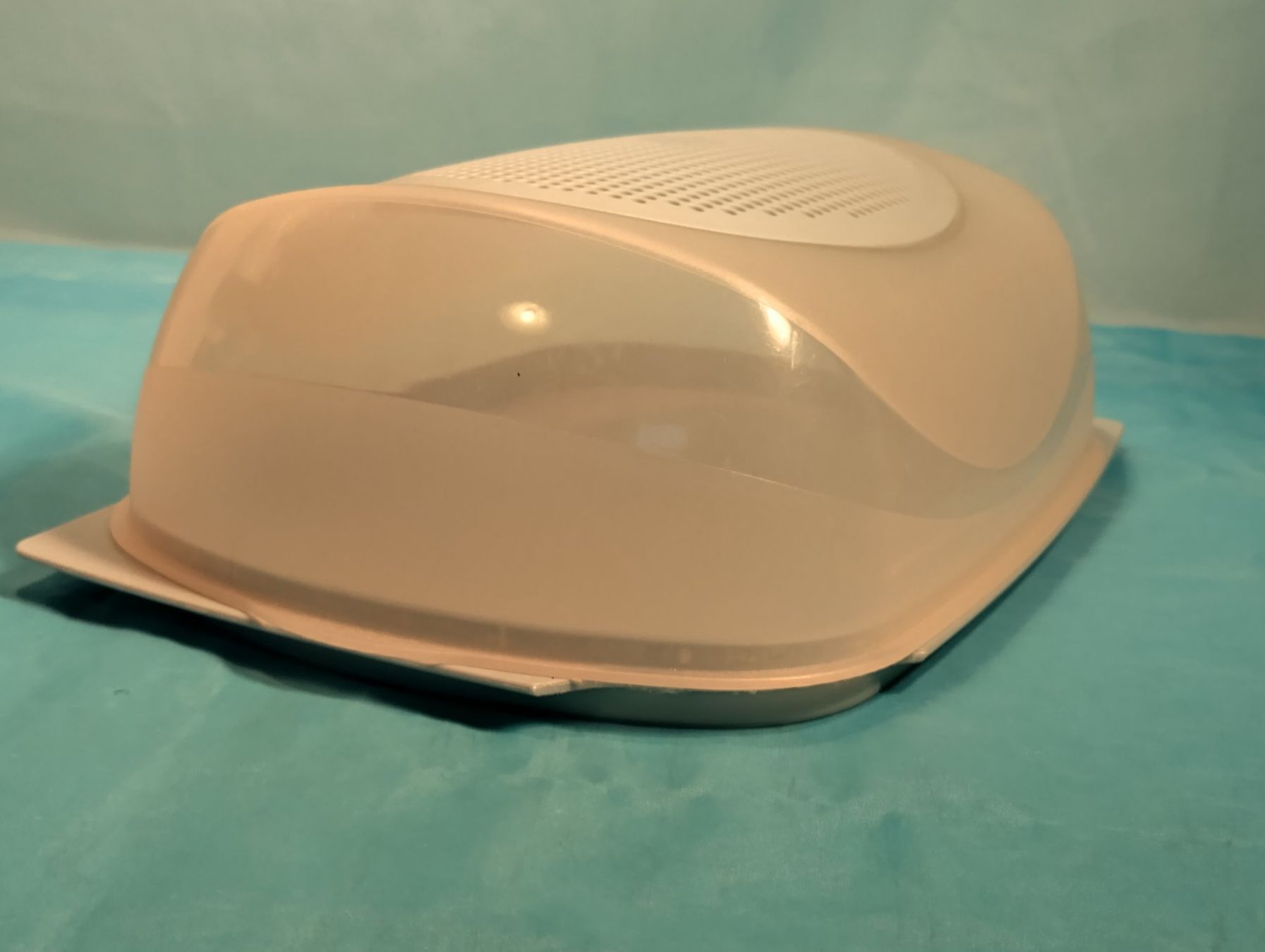 Tupperware Contenitori & Simili: Tupperware Behälter für Käse, gross, hellblau, mit Rost – Usato da Bellach venduto da JingleCherry 2