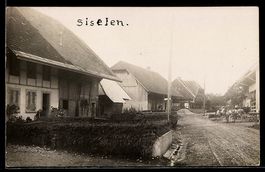 Foto-AK Siselen, Ortspartie mit Kühen, Fachwerkhaus