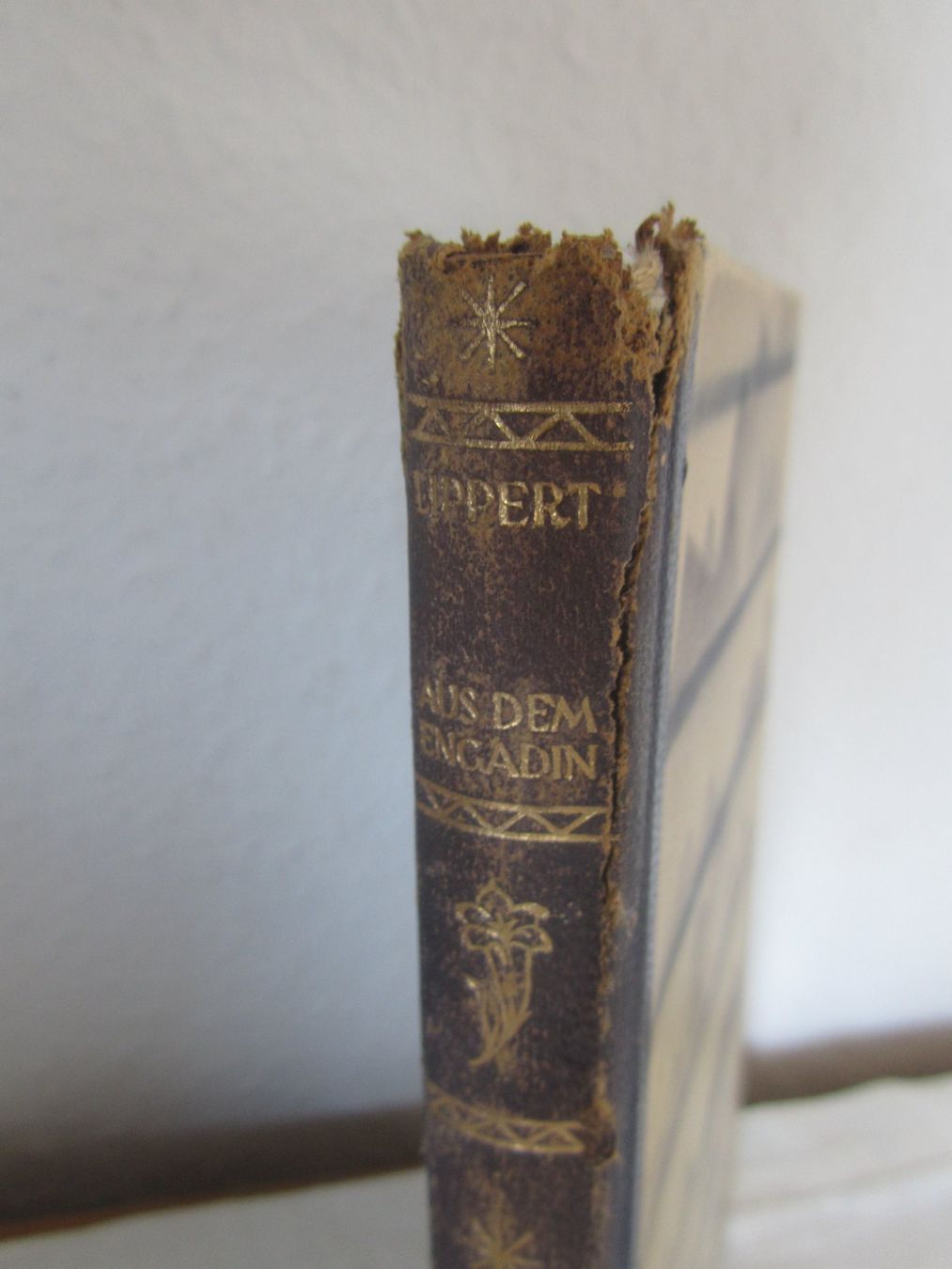 Bücher: Peter Lippert:  Aus dem Engadin – Gebraucht aus Seengen von mikelele 1