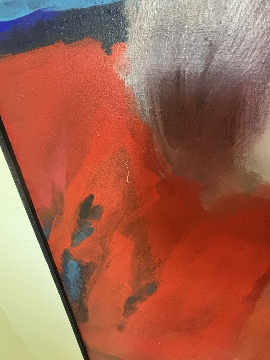 Dipinti: Ölbild auf Leinwand – Usato da Birrhard venduto da Sharkno 4