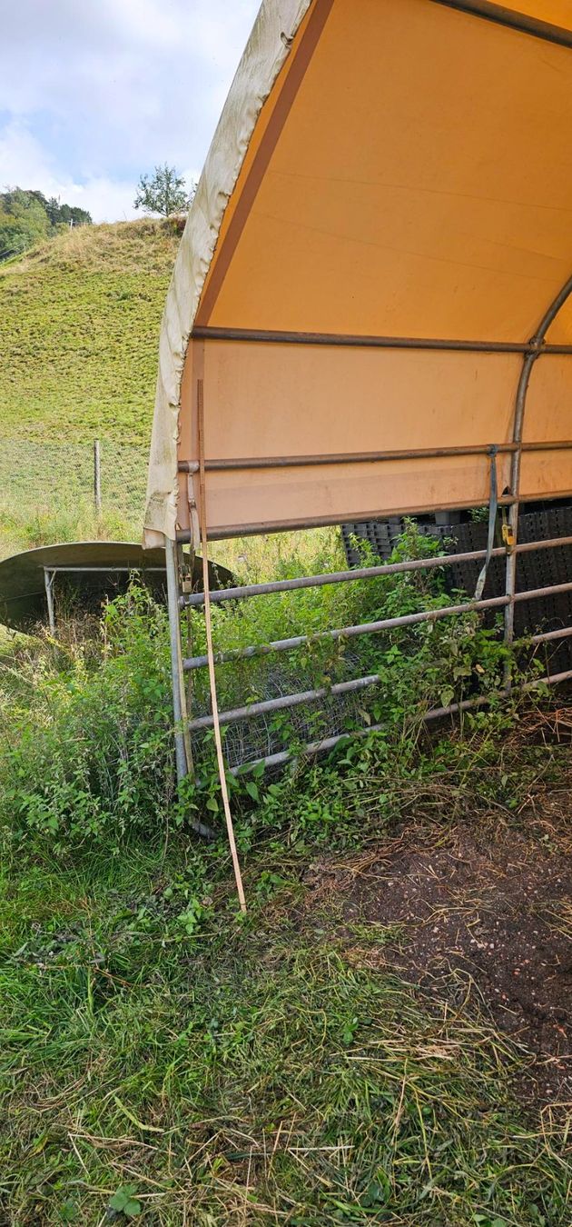 Accessori per la stalla: Weideuntterstand Rundbogenzelt – Usato da Steinen venduto da Holz1 4