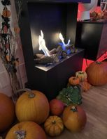Ethanol fireplace + 20l ethanol