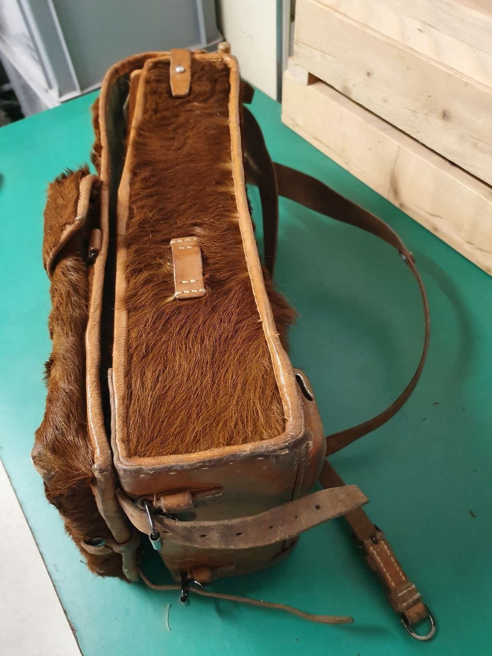 Ausrüstung & Ersatzteile: Fell Tornister Haaraff – Gebraucht aus Ostermundigen von Swissmarmota 3
