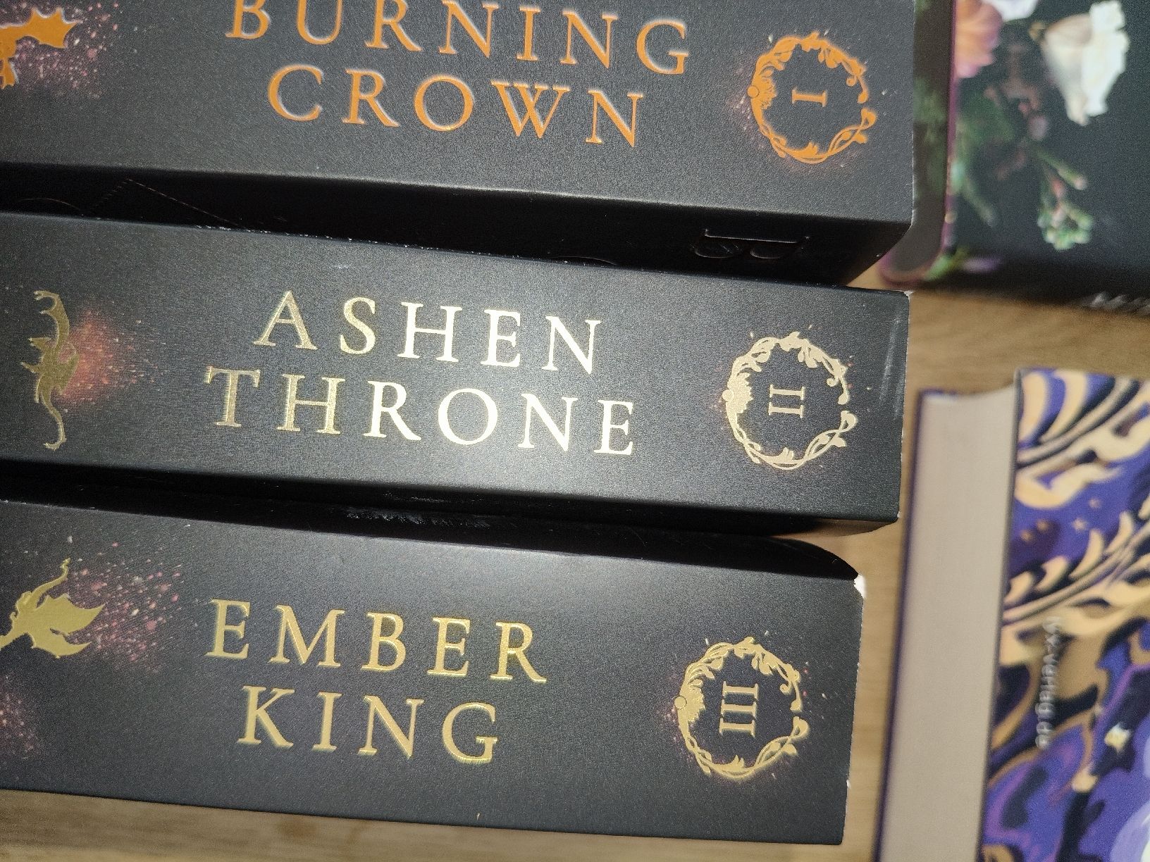 Libri: 13 Bücher Fantasy Paket  – Usato da Lichtensteig venduto da totoaxv 5