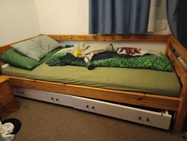 Flexa Bett mit diversen Zubehör 