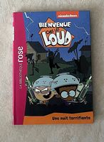 Bienvenue chez les Loud - livre pour enfant 