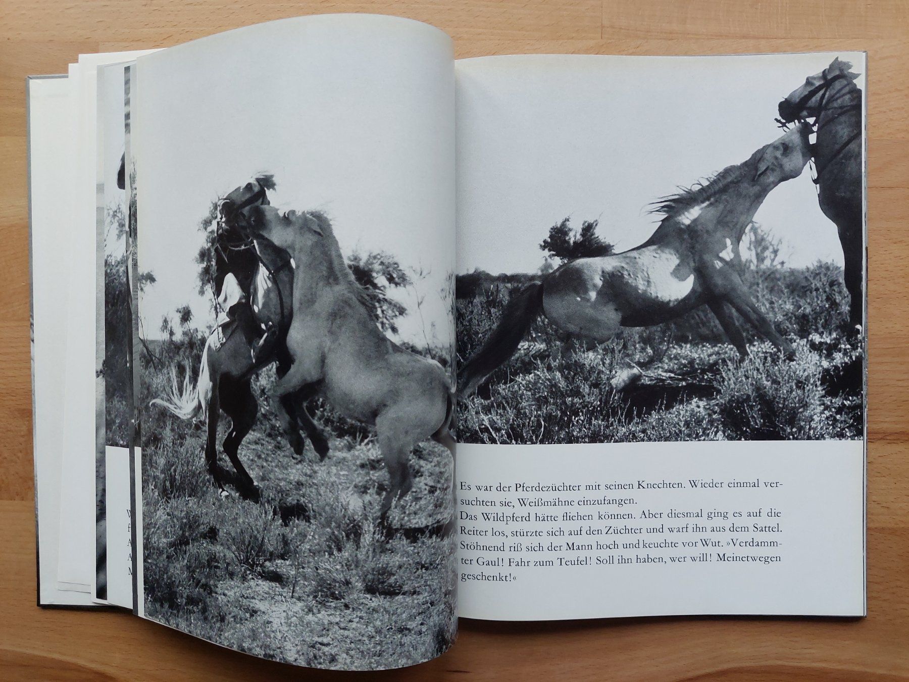 Livres: Der weisse Hengst - Albert Lamorisse – D'occasion à Obfelden par Foto_Bild_Kunst_Buch 6