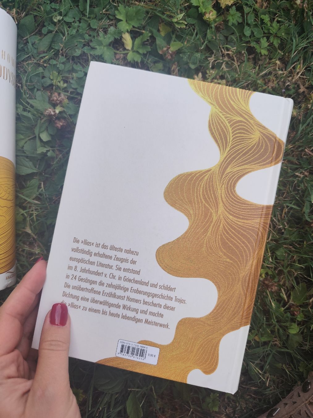 Bücher: Homer Odyssee Ilias – Gebraucht aus Mägenwil von VintageGirly 3