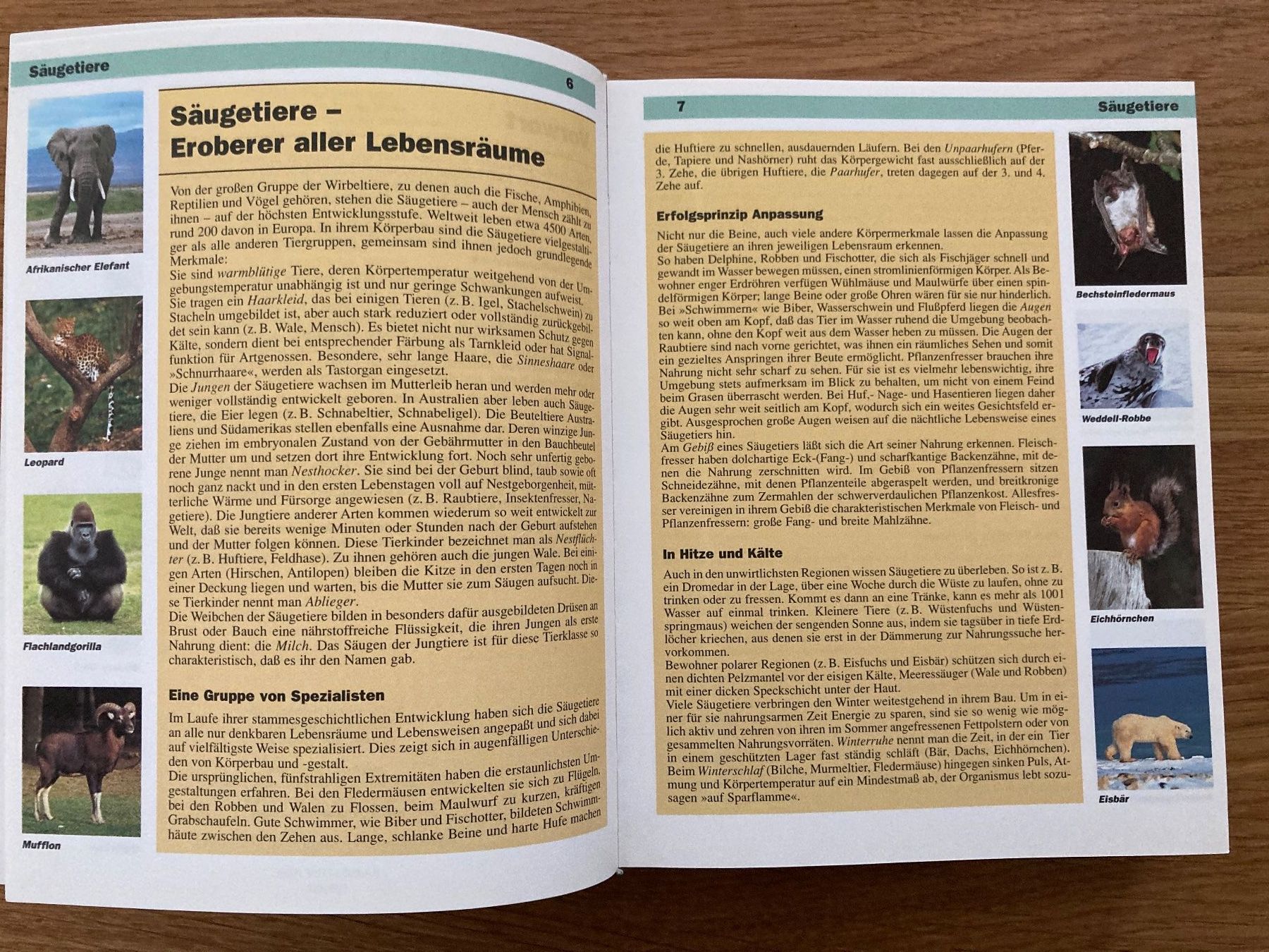 Libri: Grosses Tierlexikon - in Farbe mit über 1000 Abb. – Nuovo (secondo la descrizione) da Winterthur venduto da Quilterin 3