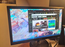 ASUS Monitor 22 Zoll Full HD guter Zustand