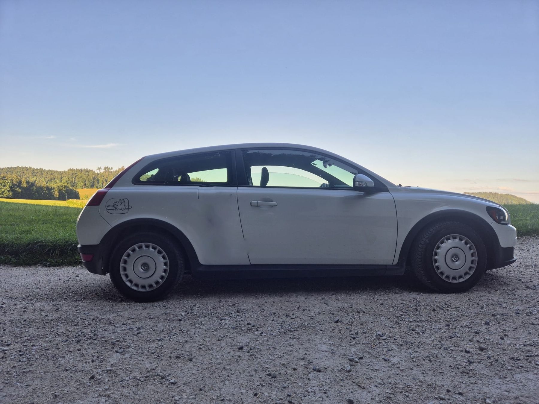 Volvo Automobili: Volvo C30 – Difettoso da Richenthal venduto da Mikesh01
