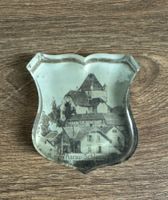 Aarau Schloss altes Wappenschild Glas seltenes Sammlerstück