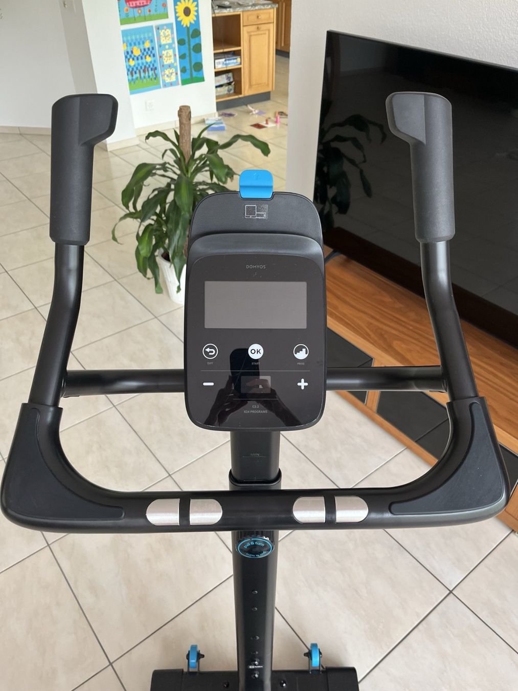 Hometrainer: Domyos Heimtrainer Bike 900 mit Eigenantrieb – Usato da Bremgarten AG venduto da jordico85 3