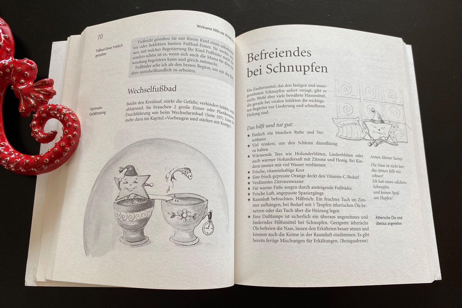 Libri: Wickel & Co für Kinder – Usato da Nussbaumen AG venduto da schuba2000 4