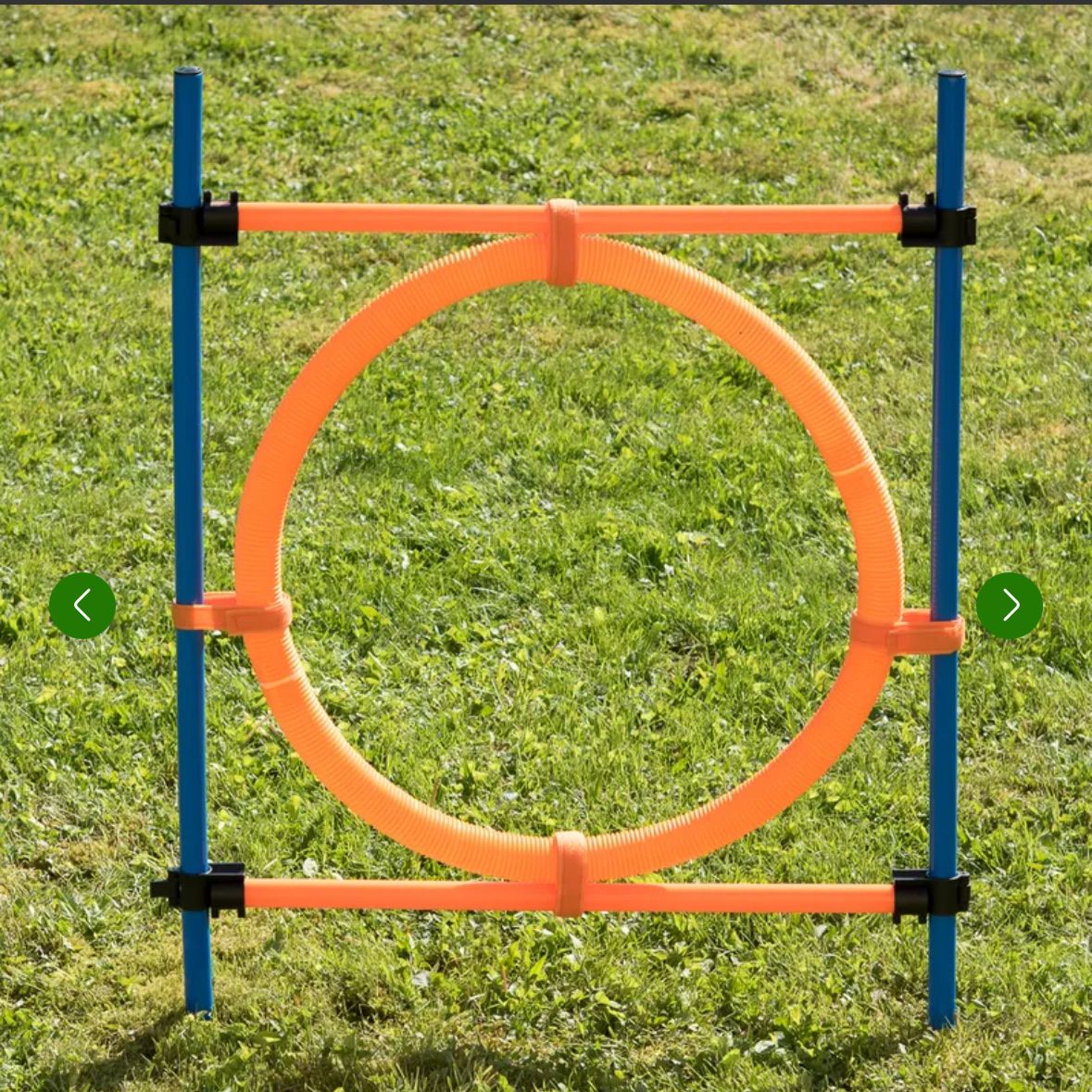 Spiele: Hunde Agility Set – Neu (gemäss Beschreibung) aus Baar von the_9vbc 2