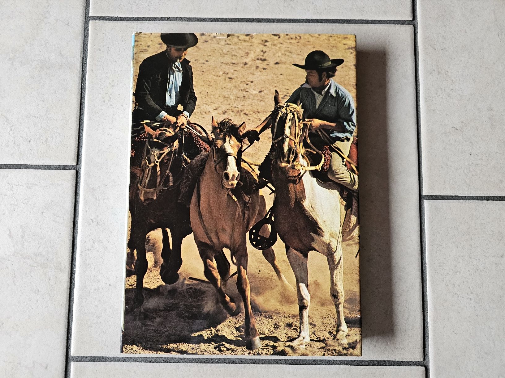 Libri: Argentinien  /  Wunderbare 178 Seiten über Argentinien – Usato da Schneisingen venduto da backstore24