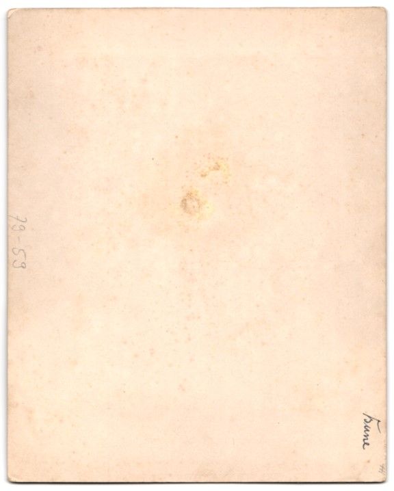 Photos & affiches: Fotografie Gustav Richard Lambert, Co.,  – D'occasion à Berlin par bartko-reher 1