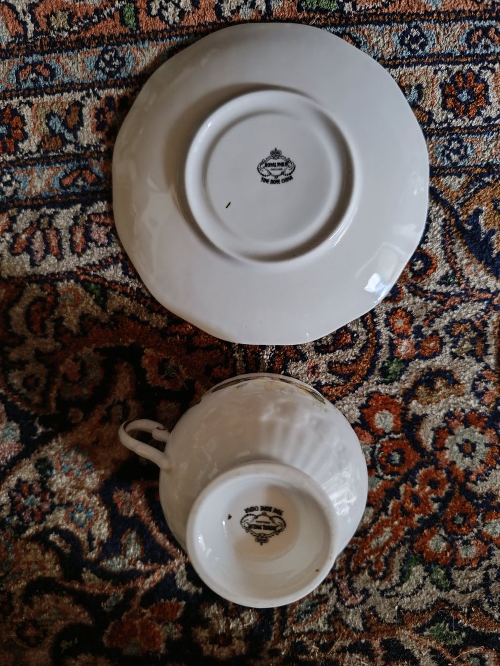 Tazze: Royal Philip Fine Bone China Kaffee/Tee tasse – Usato da S. Antonino venduto da sab_z5qw 2