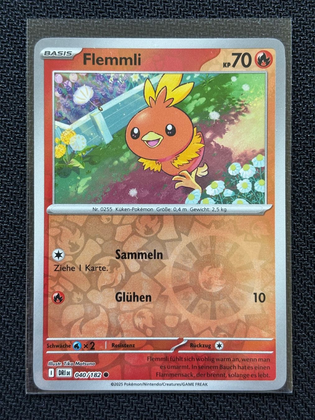 Pokémon Carte collezionabili: Flemmli (DRI 040) Reverse Holo - Ewige Rivalen - DE – Nuovo (secondo la descrizione) da Hergiswil NW venduto da Feybyen