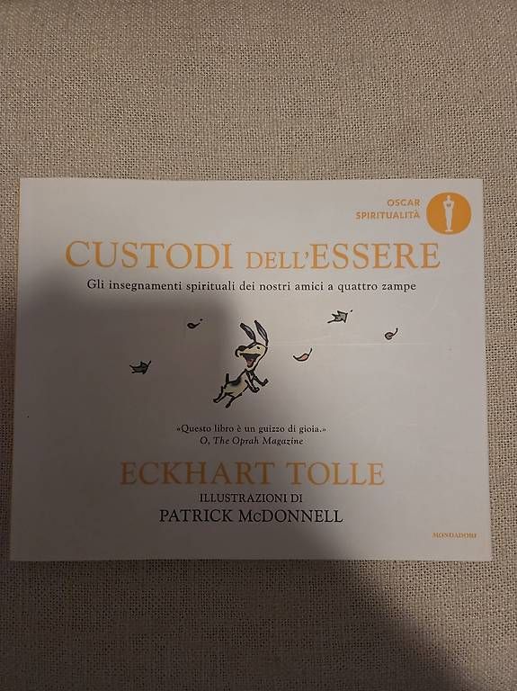 Bücher: Libro "custodi dell'essere" – Gebraucht aus Gordola von sto_2wgl