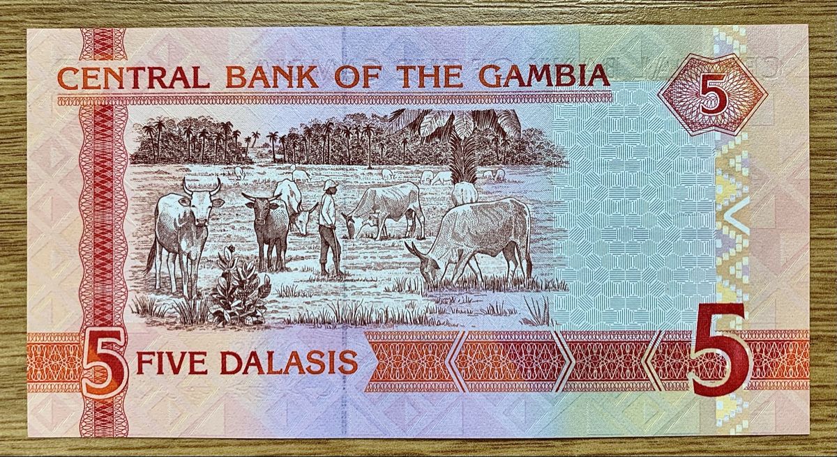 Banknoten: 5 Dalasis Gambia 2013!!! UNC!!! – Neu (gemäss Beschreibung) aus Oberentfelden von NunoLouro 1