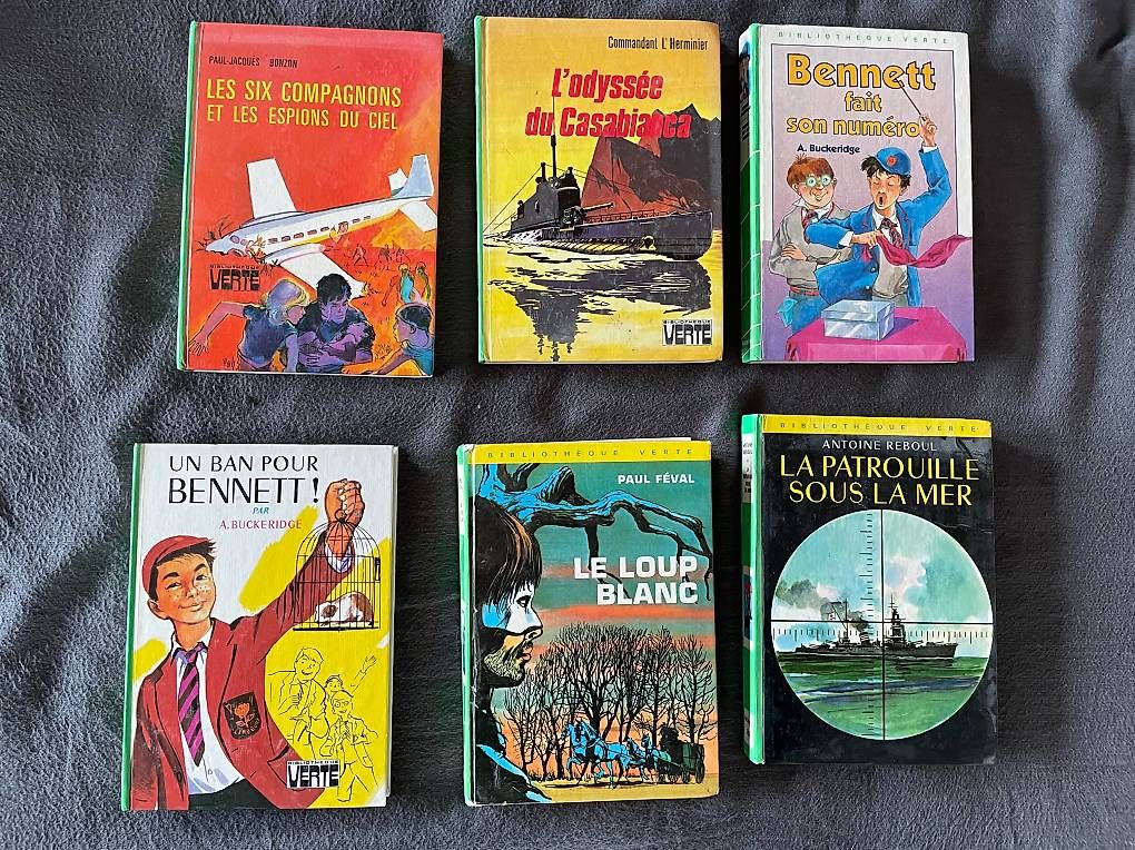 Libri: Bibliothèque verte - 16 livres – Usato da Yvonand venduto da Musicman5 1
