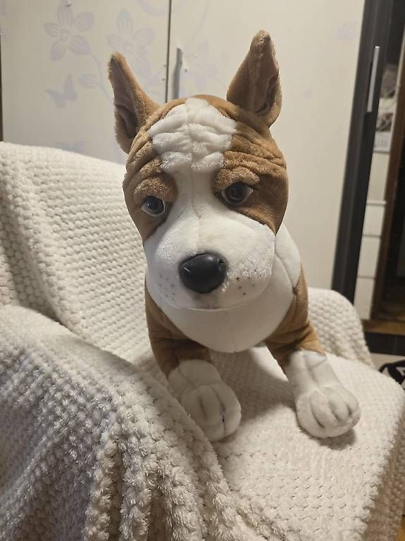 Giocattoli: Peluche cane  – Nuovo e nell'imballaggio originale da Agno venduto da Scambio-Vendo-Agno 1