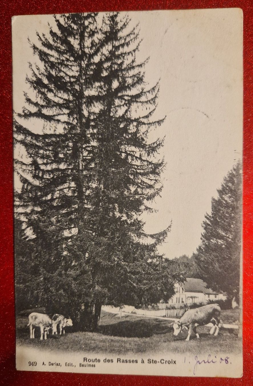 Cartoline postali: Route des Rasses Ste-Croix 1908 rar – Usato da Melchnau venduto da Arthurius