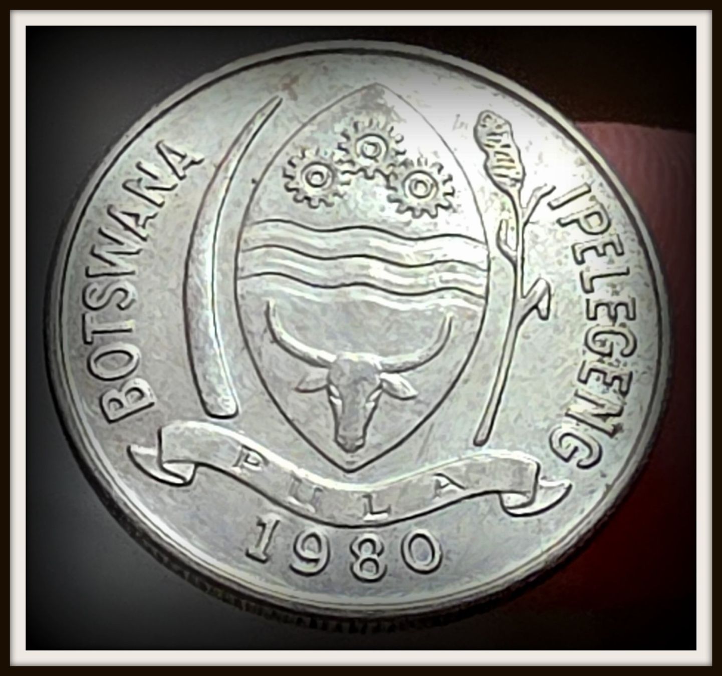 Tutti le monete: BOTSWANA 10 THEBE 1980 – Usato da winterthur venduto da CoinPassion 1