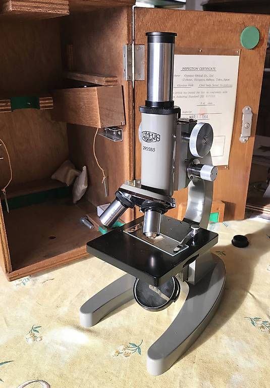 Microscopi: Microscope Olympus 1964 avec sa boîte en bois – Usato da Estavayer-le-Lac venduto da mar_2s6b