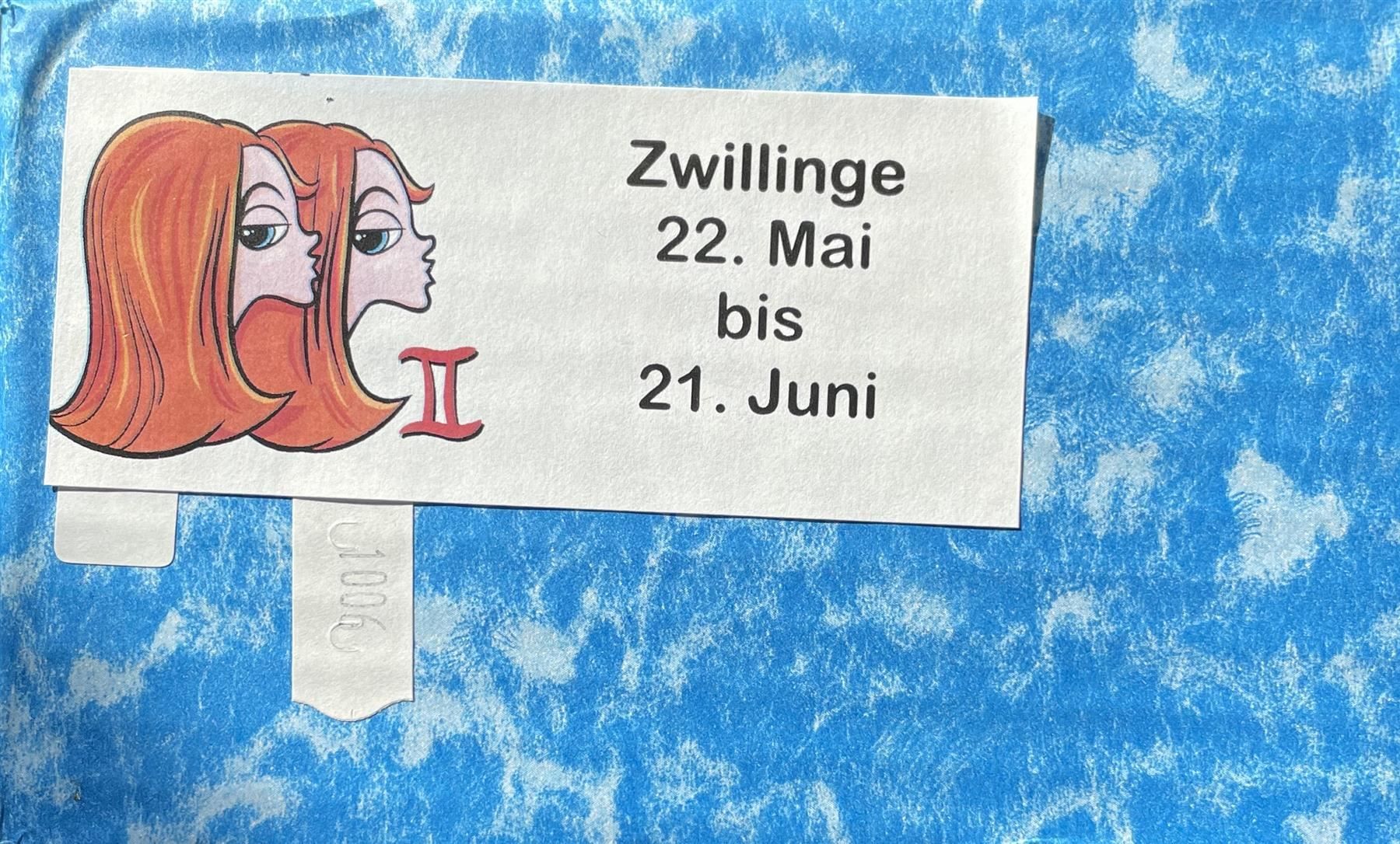 Statuette: Sternzeichen Zwillinge – Nuovo e nell'imballaggio originale da Diepoldsau venduto da preisparadies-ch 2