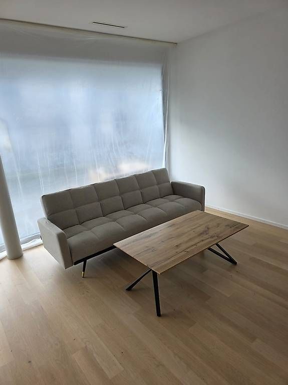 Divani: Sofa / Schlafsofa 3-Sitzer – Usato da Luzern venduto da hal_tkq7 4