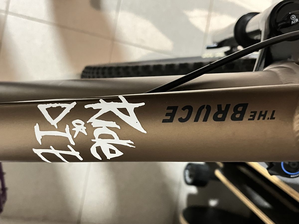 Rose Biciclette: Rose The Bruce 1 Grösse M neuwertig – Usato da Frauenkappelen venduto da jensitiger77 4