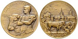 Suisse médaille bronze 1910 8ème Exposition Agriculture