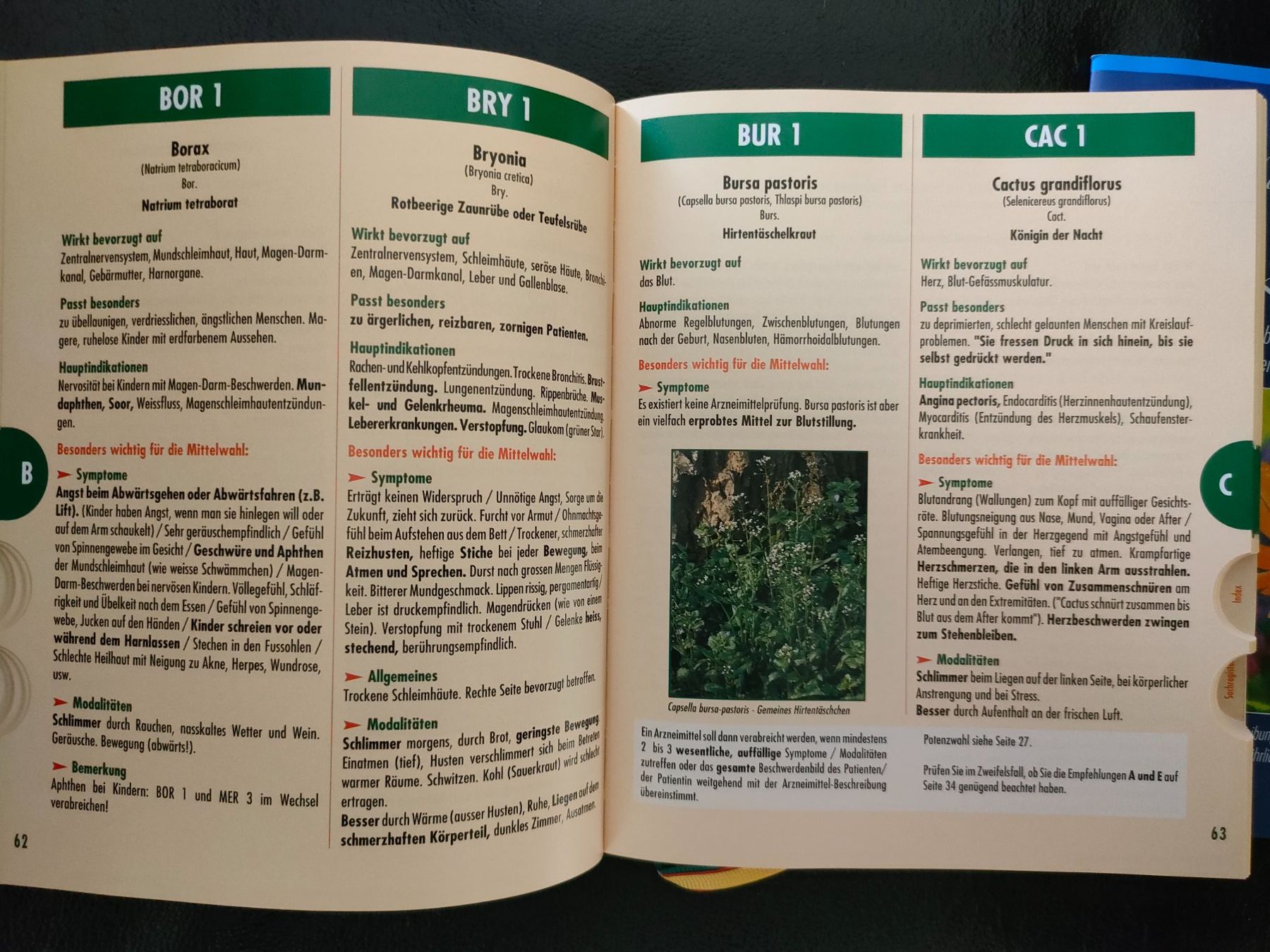 Libri: Homöopathie Ratgeber Set – Usato da Wiesendangen venduto da s_er 2