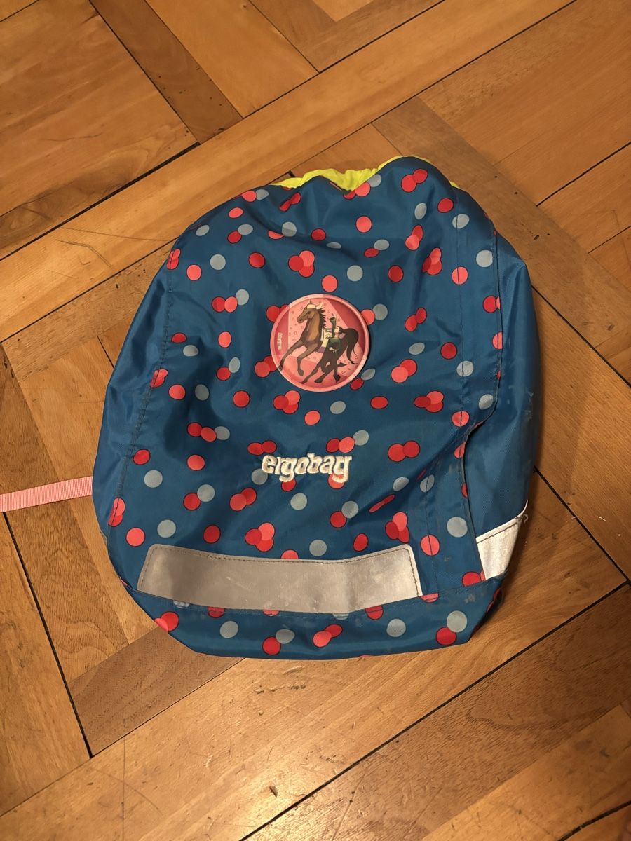 Ergobag Kindertaschen: Set Ergobag Thek and co, Abholung vor Schulstart möglich! – Gebraucht aus Zürich von Rausan7 6