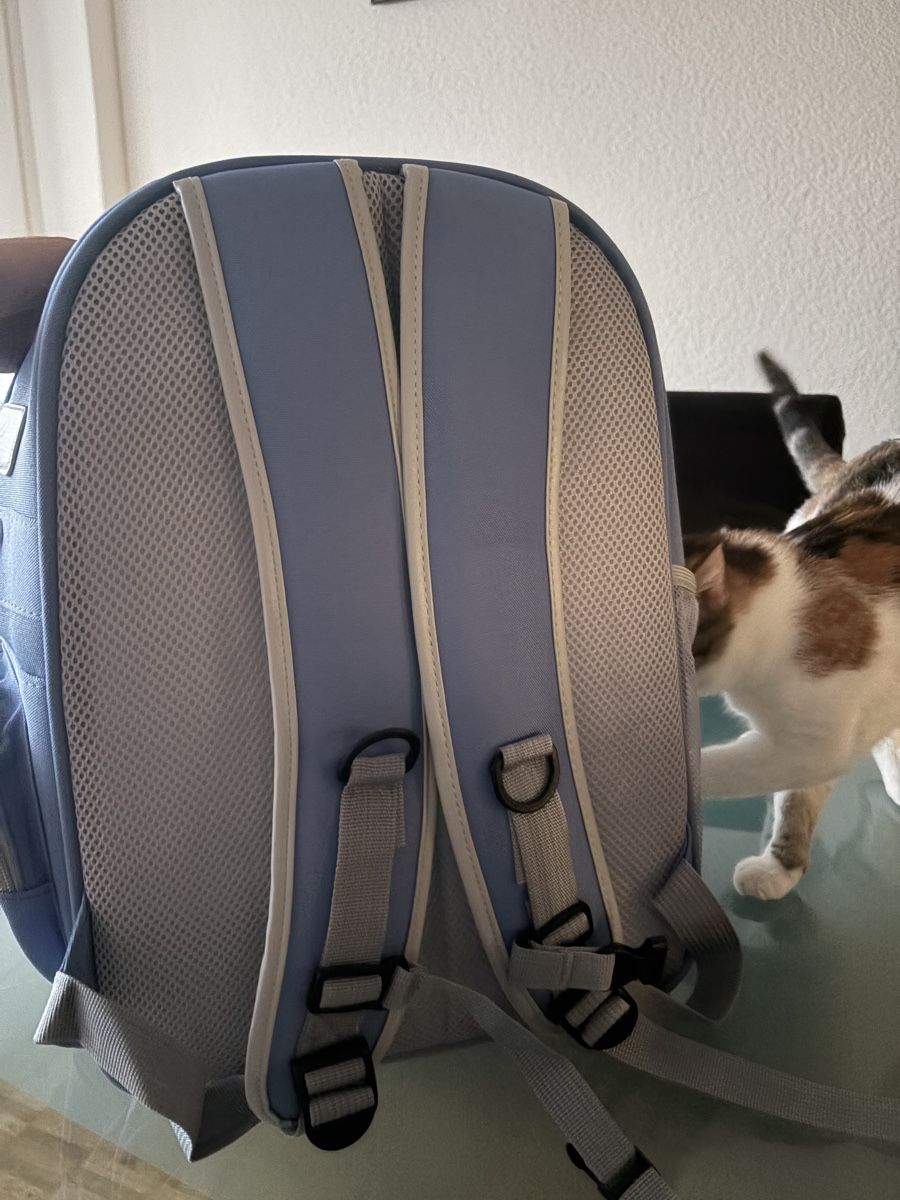 Sacs: Katzentransportrucksack – Neuf (Voir description) à Emmenbrücke par dylan_esteban19 4
