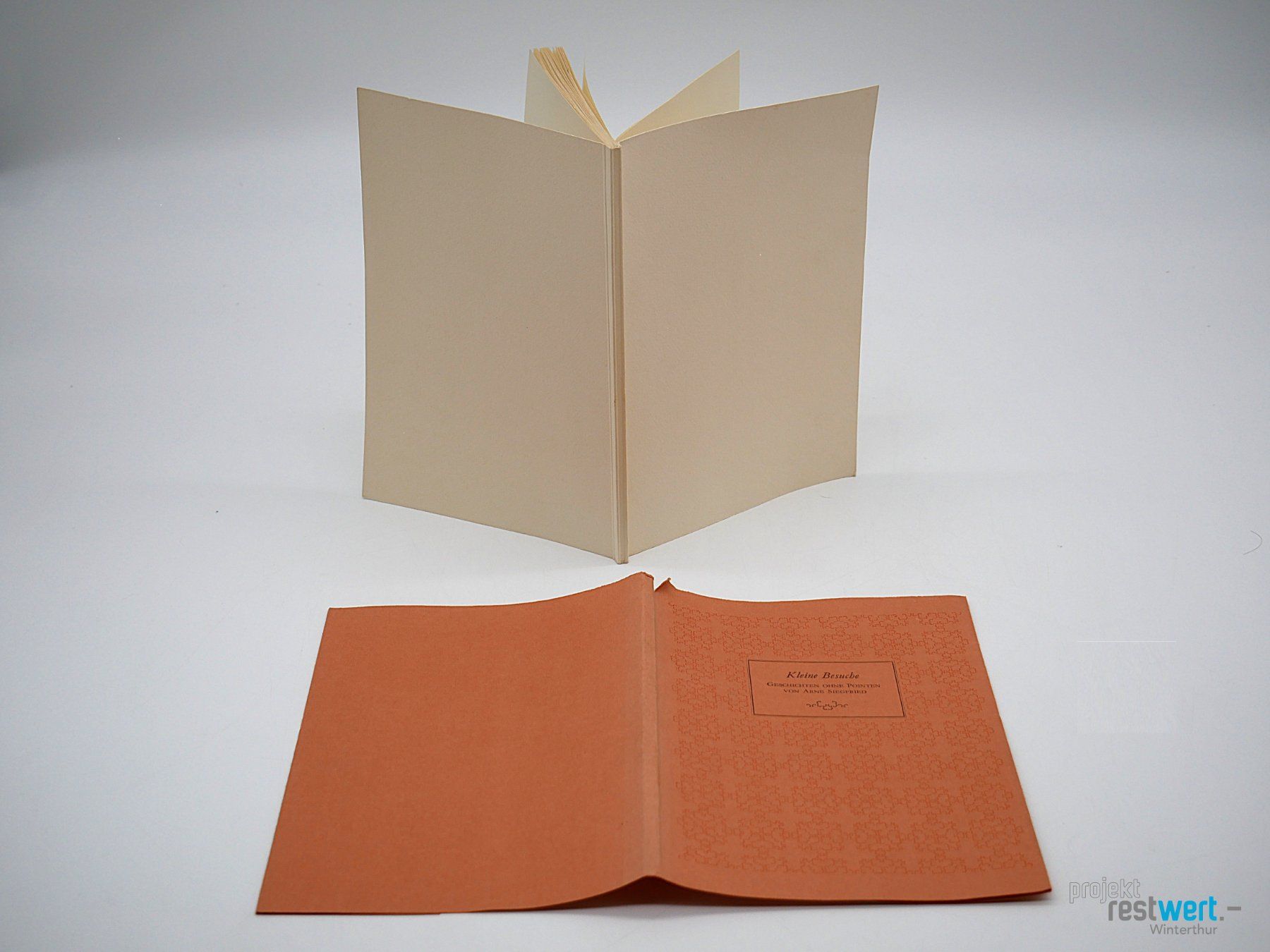 Livres: ARNE SIEGFRIED - Kleine Besuche – D'occasion à Winterthur par Restwert_Winterthur 2