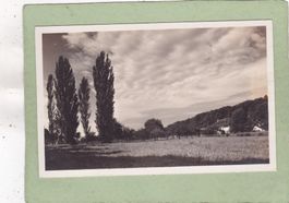 Bielersee auf der Petersinsel