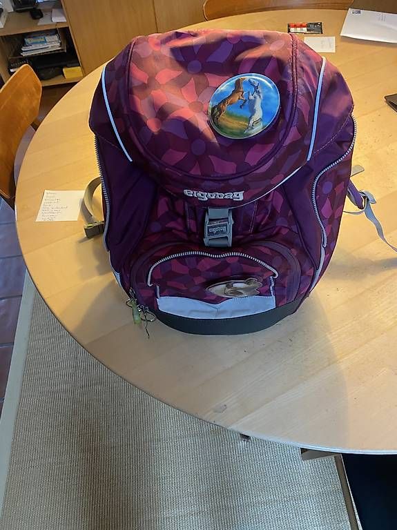 Kindertaschen: Ergobag Schulranzen  – Gebraucht aus Windisch von pagbfrs