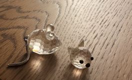 Maus und Katze 
