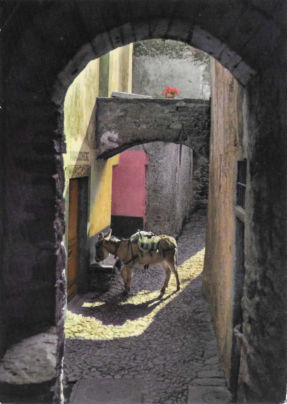 Cartoline postali: Ronco TI – Usato da Rothrist venduto da Stranglehold